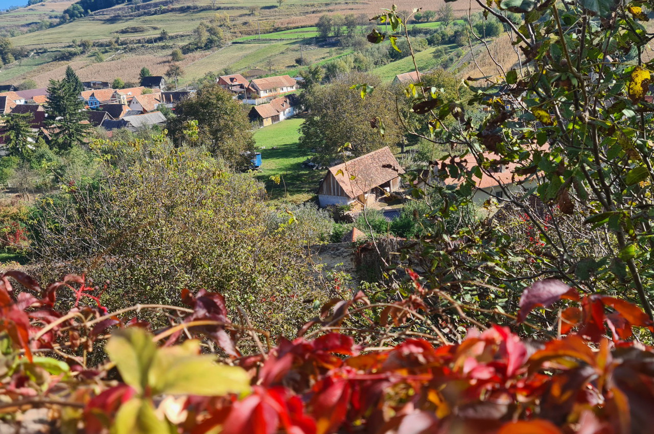 sejour transylvanie medievale