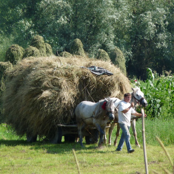 photo roumanie rurale