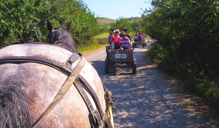 chambres d hotes roumanie, activites tourisme rural roumanie