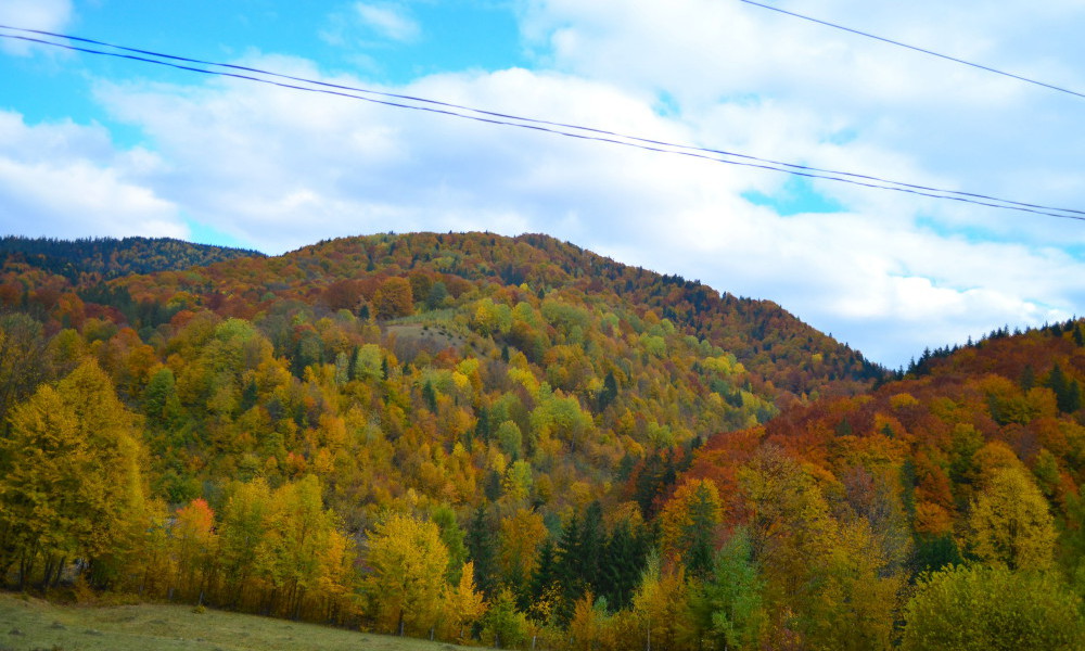 Photos du voyage La Roumanie en automne, a travers la Valachie, la Transylvanie, la Bucovine, la Roumanie, les meilleures visites et excursions avec un guide local