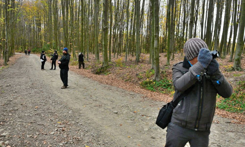 Photos du voyage La Roumanie en automne, a travers la Valachie, la Transylvanie, la Bucovine, la Roumanie, les meilleures visites et excursions avec un guide local