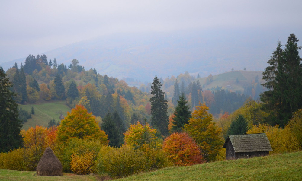 Photos du voyage La Roumanie en automne, a travers la Valachie, la Transylvanie, la Bucovine, la Roumanie, les meilleures visites et excursions avec un guide local