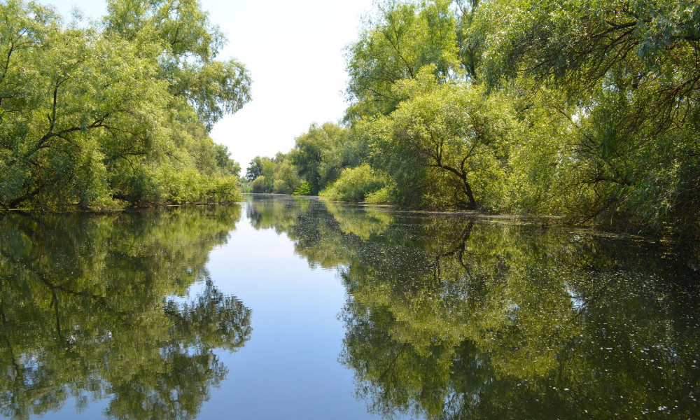 decouvrir Delta du Danube