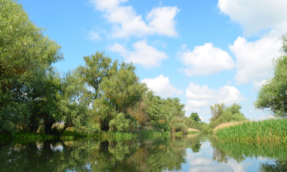 tourisme Delta du Danube