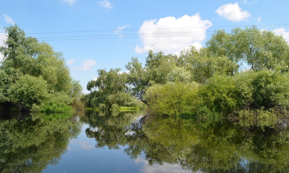 sejours  Delta du Danube