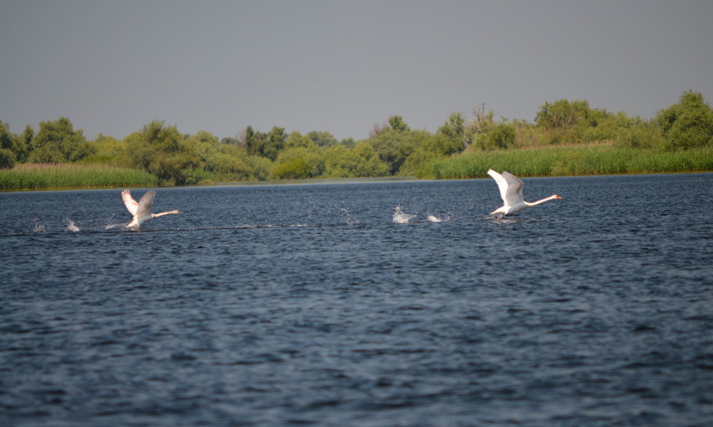 tourisme au Delta du Danube