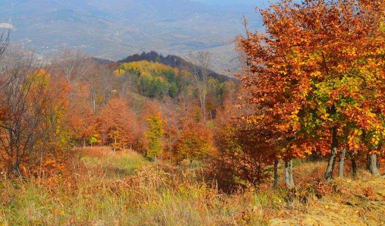 voyage roumanie en automne