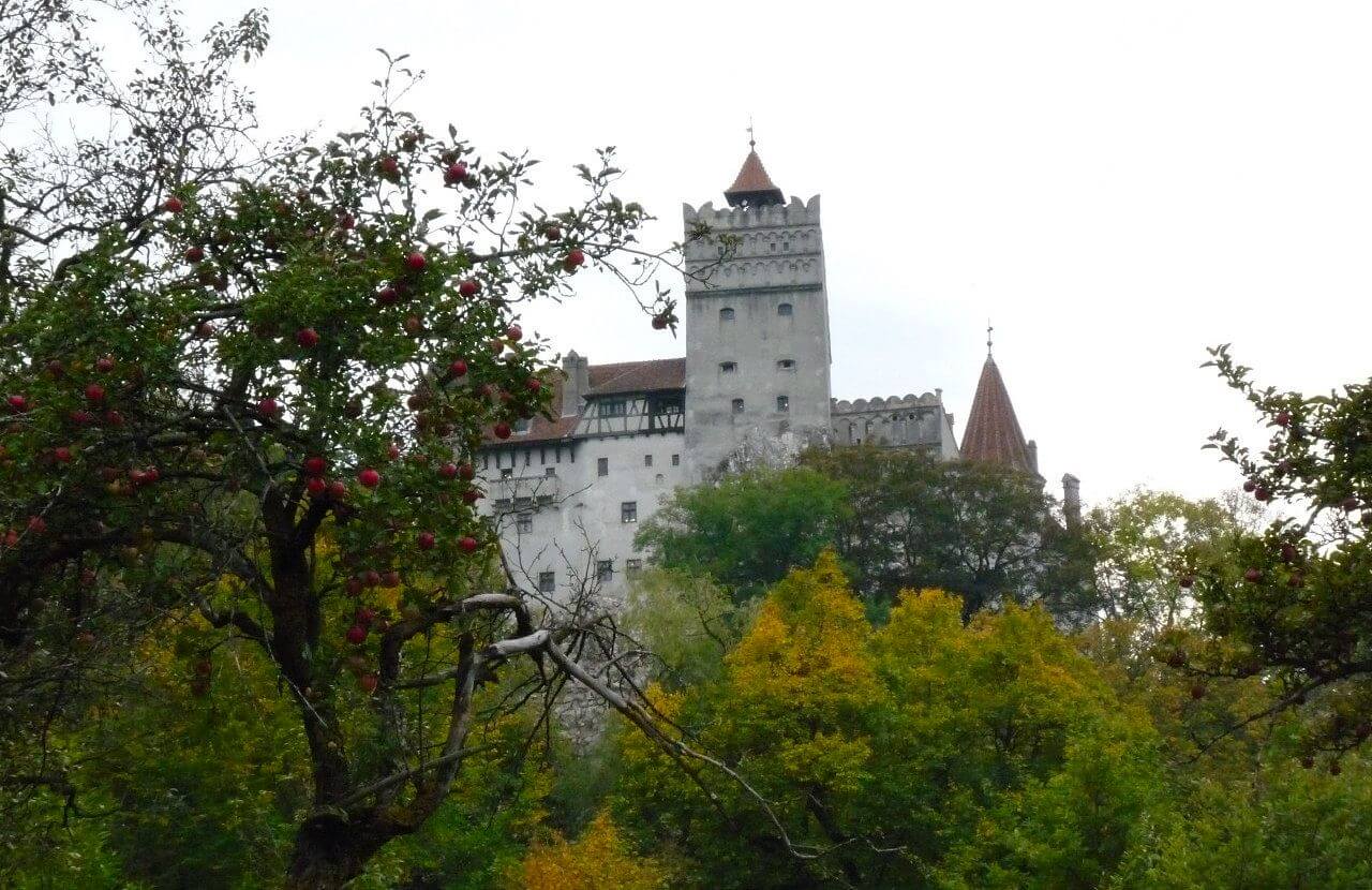 le chateau de Dracula Transylvanie