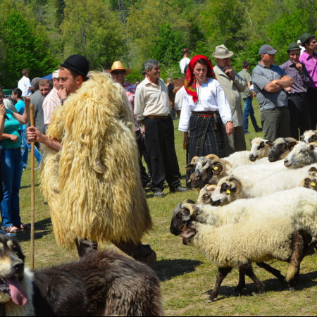 Photos chambre d'hôtes en Roumanie, photos gite rural roumanie