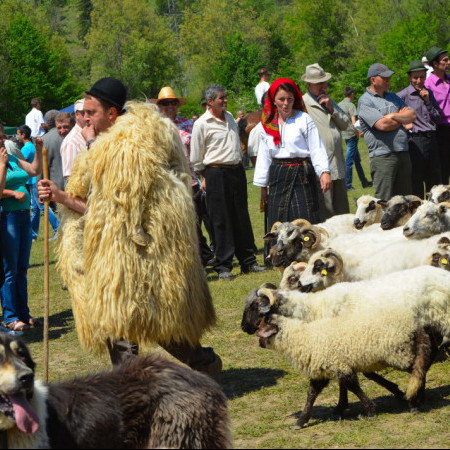 images de bucovine