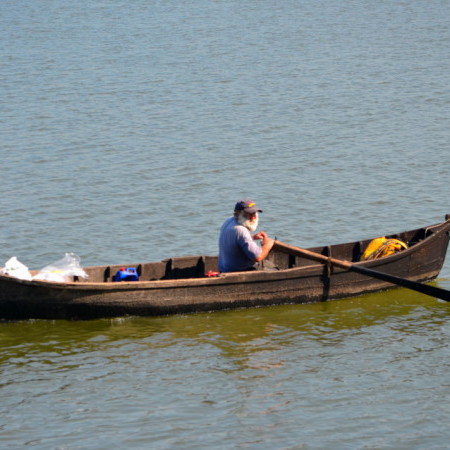 Delta du Danube, Roumanie