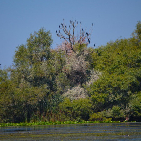 Delta du Danube, Roumanie