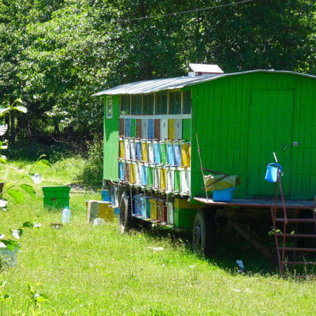 Remorque abeilles, Roumanie