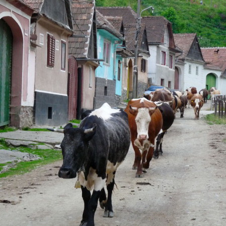 Images de la Roumanie rurale