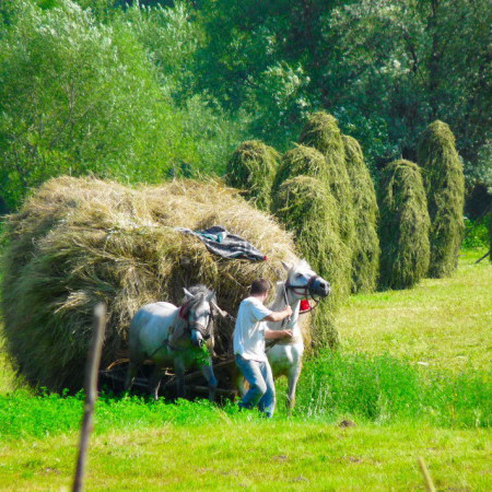 Tourisme Maramures, Roumanie