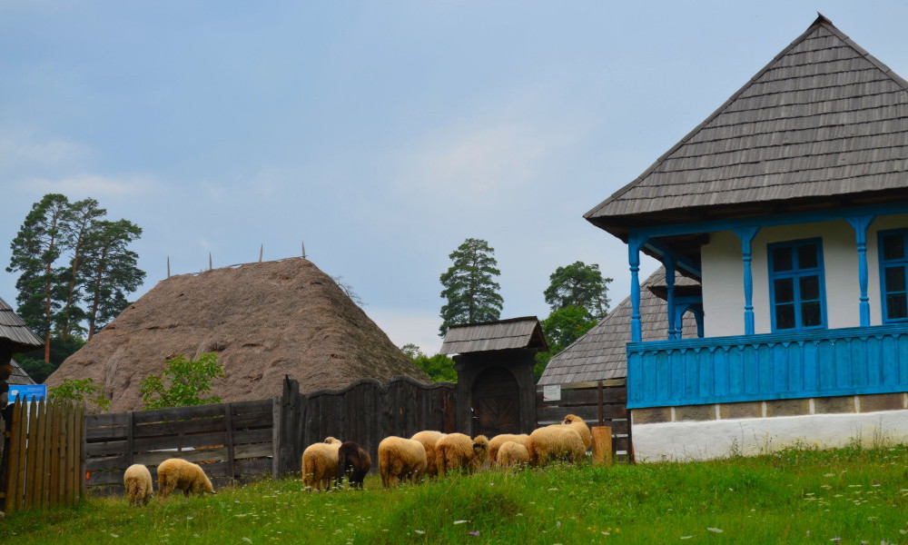 Photos de voyage en Roumanie