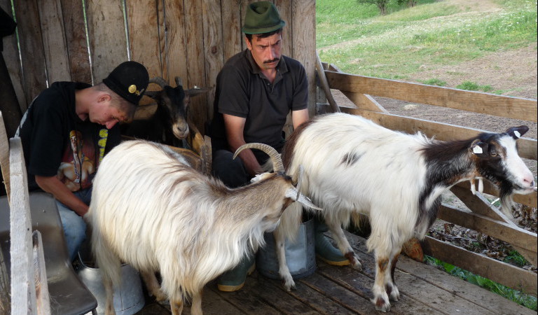bergeries en Roumanie