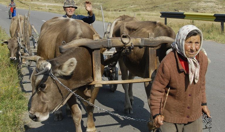 La vie rurale en Roumanie