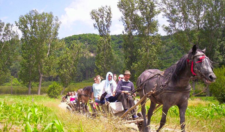  randonnées dans les Carpates, Roumanie 