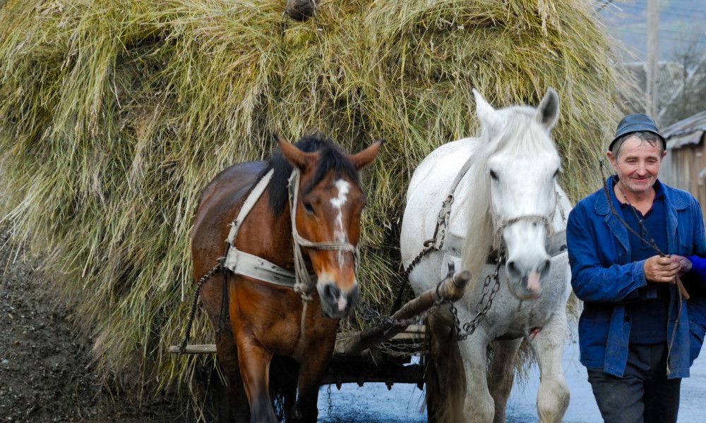 circuit rural en Roumanie