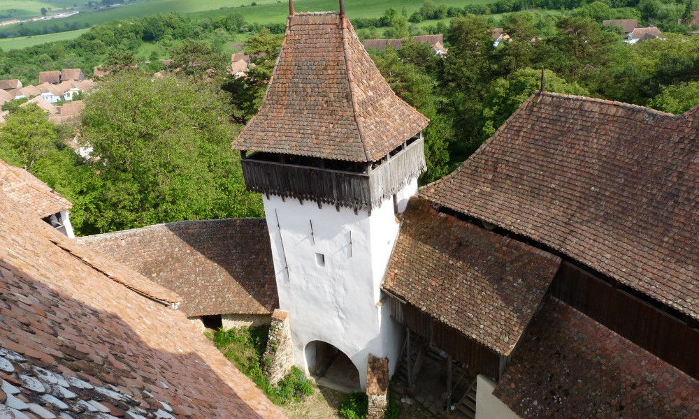 sejour transylvanie, roumanie