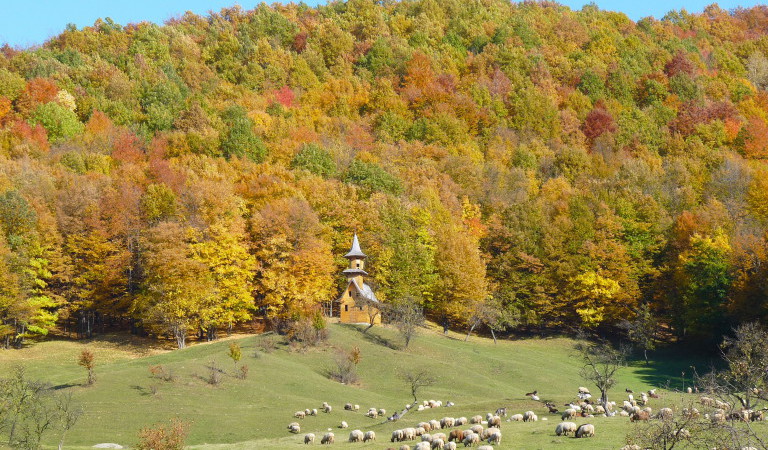 viajes a Roumanie, circuitos y tours organizados a Roumanie, excursiones a Roumanie, transilvania, bucovina, maramures