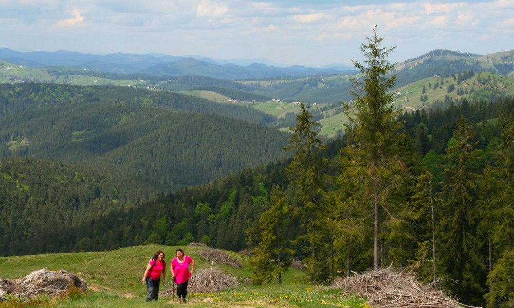 Tourisme Bucovine