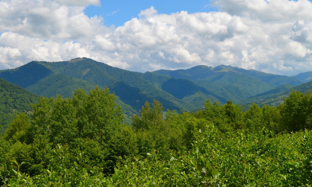 Tourisme Maramures, Roumanie