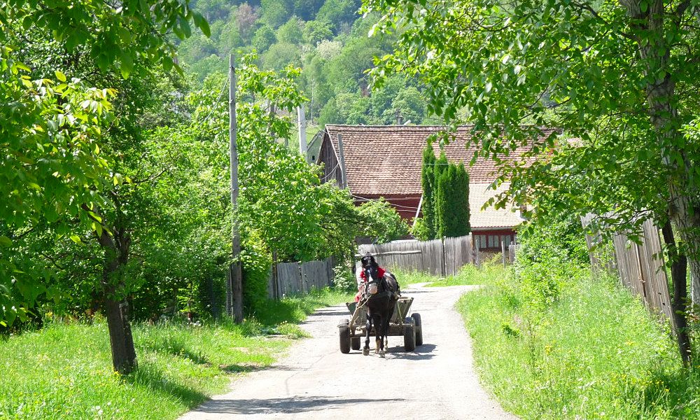 Photo village de Transylvanie