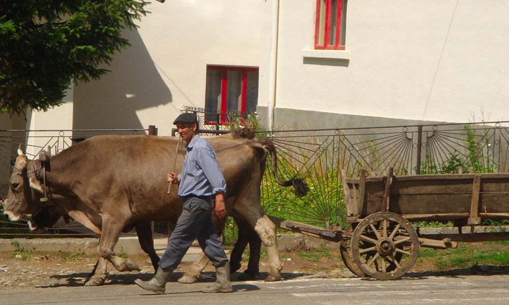 vacances rurales en roumanie, hebergement en chambres d hotes et activites en roumanie