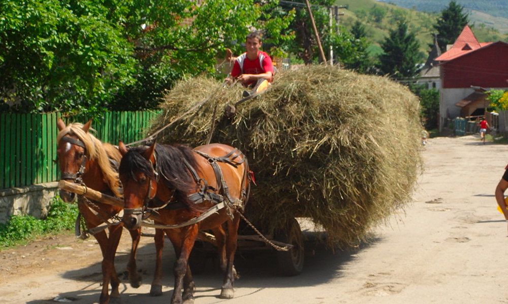 vacances rurales en roumanie, hebergement en chambres d hotes et activites en roumanie