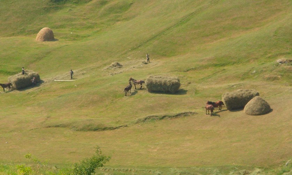 vacances rurales en roumanie, hebergement en chambres d hotes et activites en roumanie