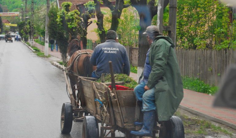 visites guidées en français  Bucarest