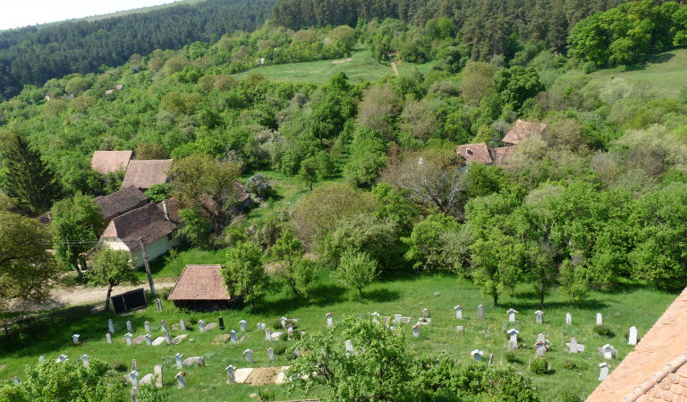  randonnées dans les Carpates, Roumanie 