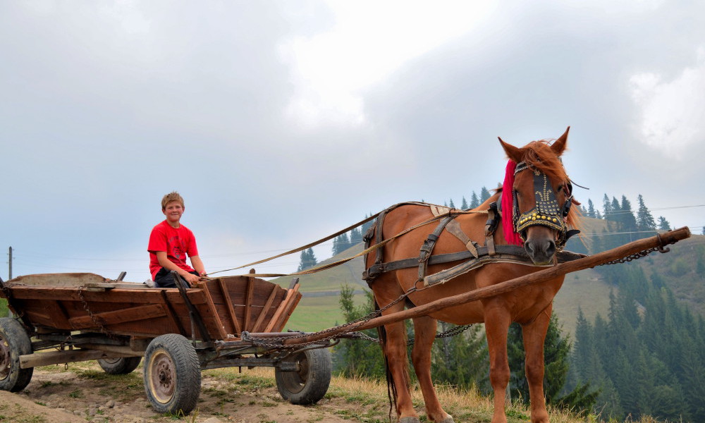 Photos circuit touristique monasteres bucovine