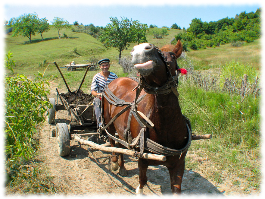 photos circuits touristiques a maramures