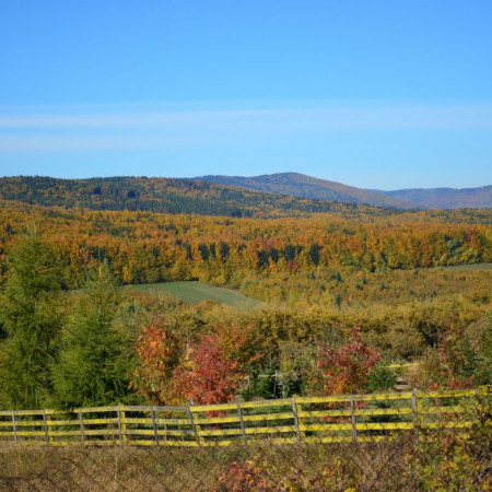 Voyages en Roumanie en automne