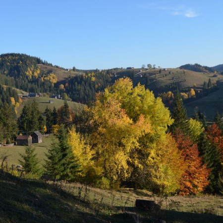 Voyages en Roumanie en automne