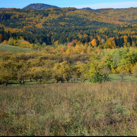 Voyages en Roumanie en automne