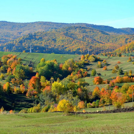 Voyages en Roumanie en automne